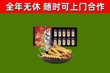 灯塔市回收冬虫夏草价格